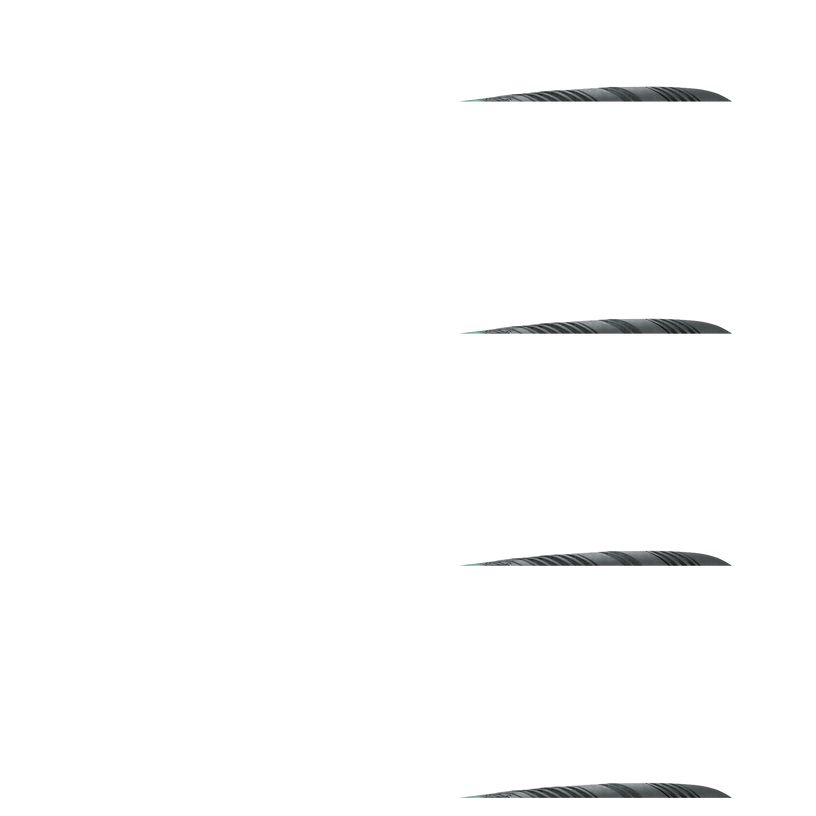 [main image]