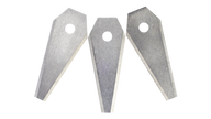 [main image]